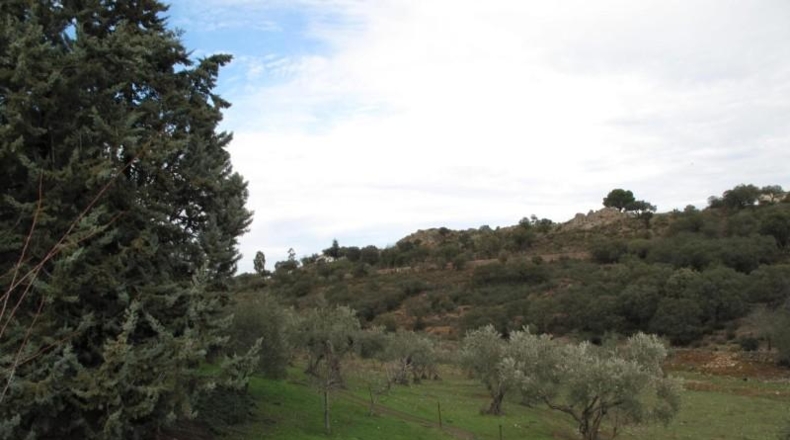 Cáceres - Cáceres - 70000m2