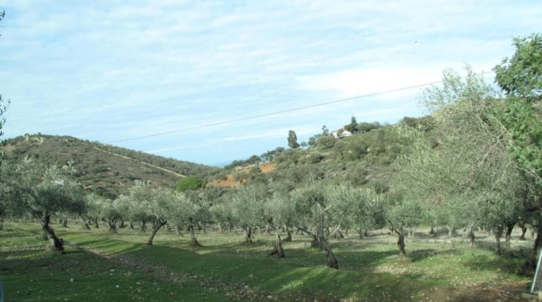 Cáceres - Cáceres - 70000m2