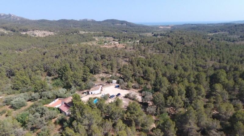 Tarragona - Tivissa - 300m2