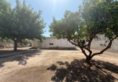 Chalet independiente con terreno en venta en la España, Monóvar, ref: TR316708 foto
