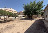 Chalet independiente con terreno en venta en la España, Monóvar, ref: TR316708 foto