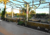 Finca rústica en venda a la España, Media Legua, ref.: TR364833 foto