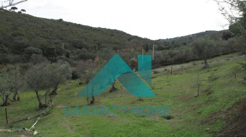 Cáceres - Cáceres - 350m2