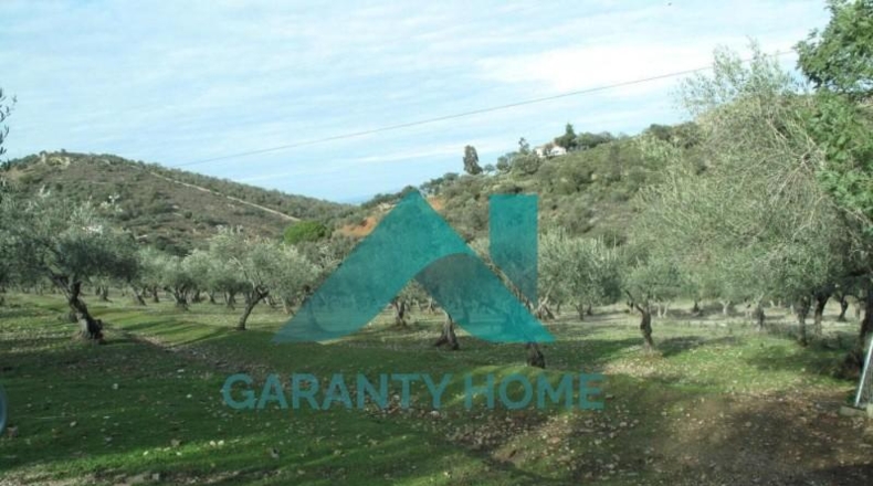 Cáceres - Cáceres - 350m2