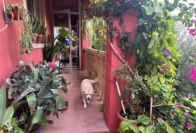 Águilas 500&nbsp;m²