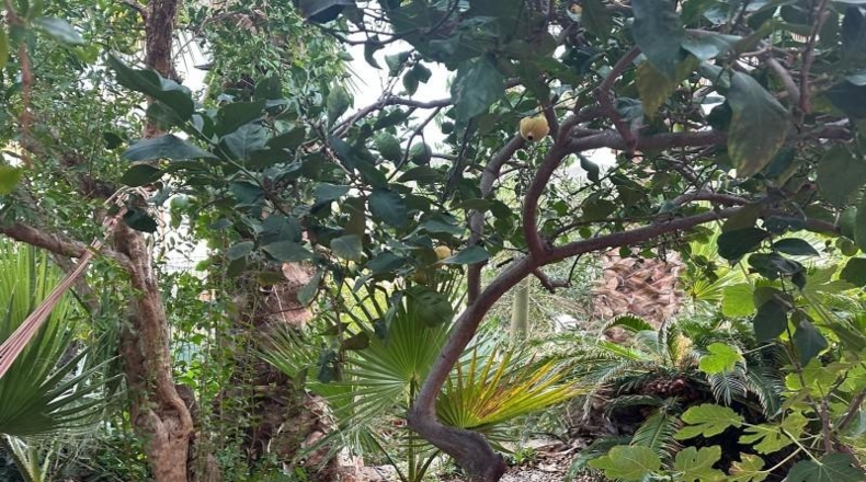 Múrcia - Águilas - 500m2