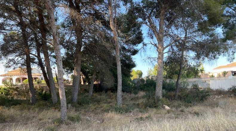 Alicante - Moraira - 901m2