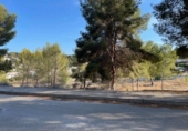 Non-developable land for sale on España, Moraira, ref: TR167223 photo