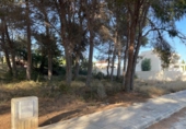 Non-developable land for sale on España, Moraira, ref: TR167223 photo