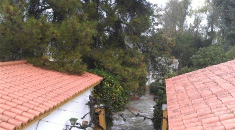 Sevilla - Alcalá de Guadaíra - 5269m2