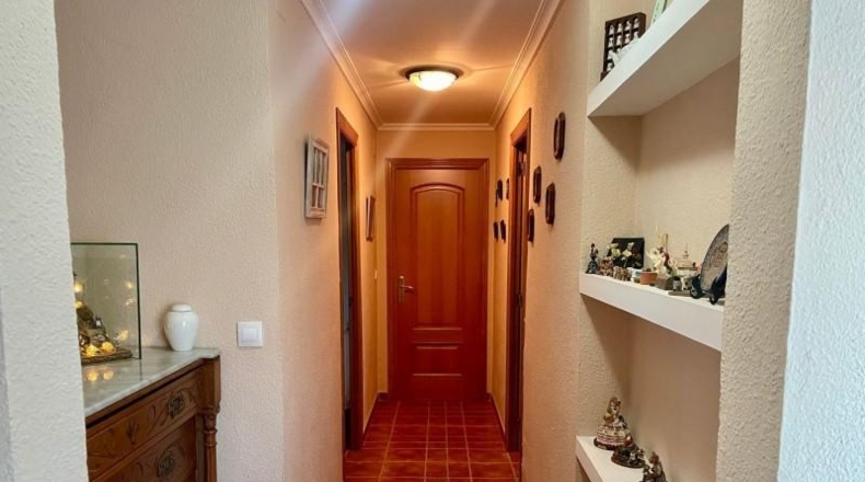 Castellón - Benicarló - 1000m2