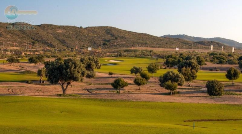 Murcia - Murcia - 330m2