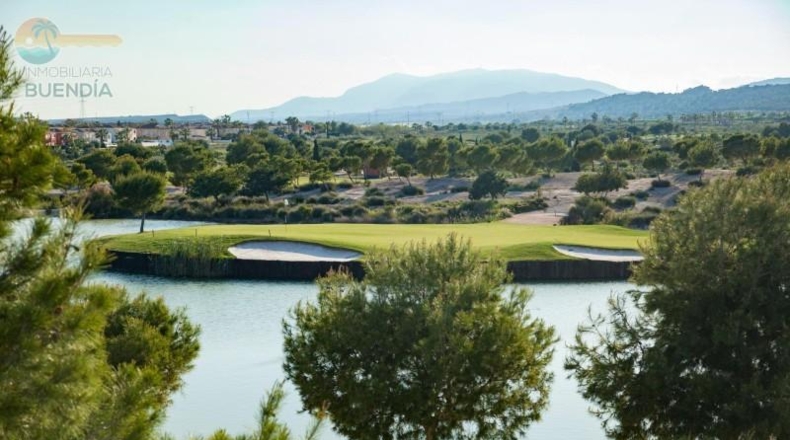 Murcia - Murcia - 330m2