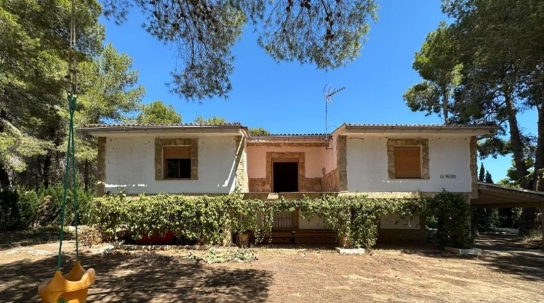 Valencia - Carlet - 4384m2