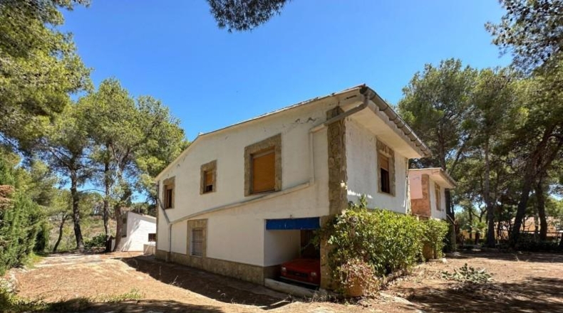 Valencia - Carlet - 4384m2