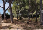 Xalet independent amb terreny en venda a la España, Carlet, ref.: TR156897 foto
