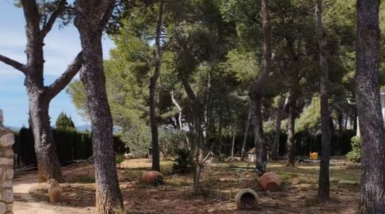 Valencia - Carlet - 4384m2