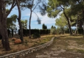 Xalet independent amb terreny en venda a la España, Carlet, ref.: TR156897 foto