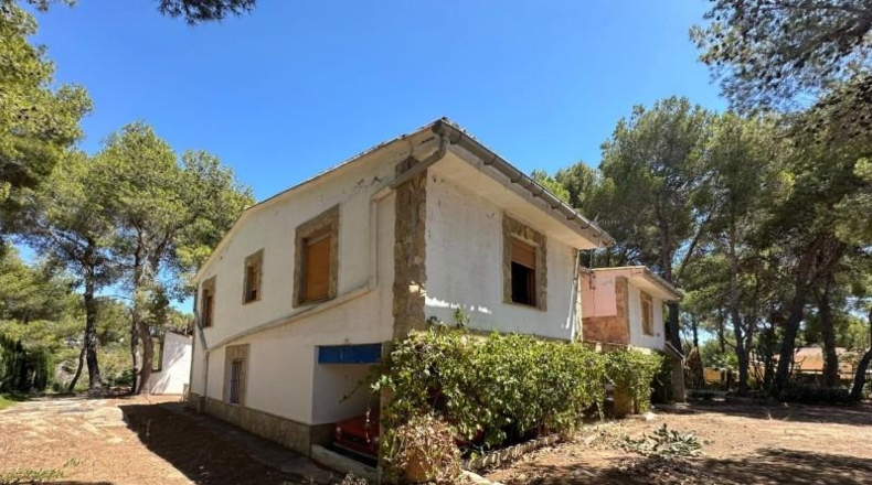Valencia - Carlet - 4384m2