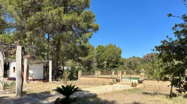 Valencia - Carlet - 4384m2