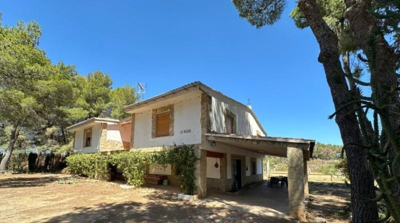 Valencia - Carlet - 4384m2