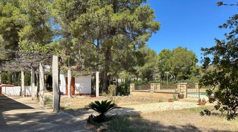 Valencia - Carlet - 4384m2