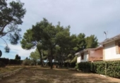 Xalet independent amb terreny en venda a la España, Carlet, ref.: TR156897 foto