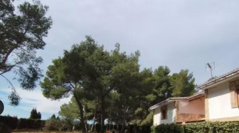 Valencia - Carlet - 4384m2