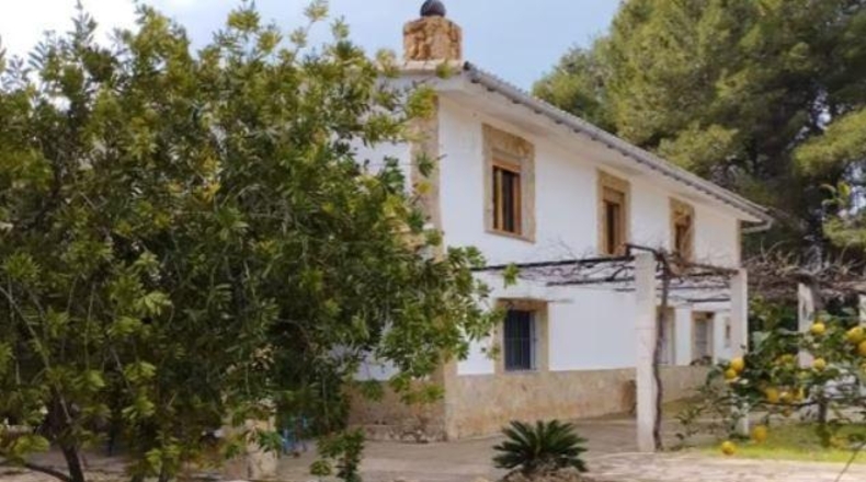 Valencia - Carlet - 4384m2