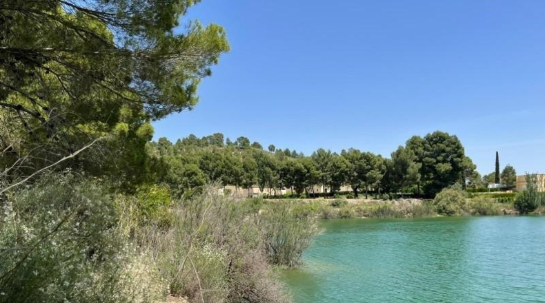 Murcia - Calasparra - 550m2