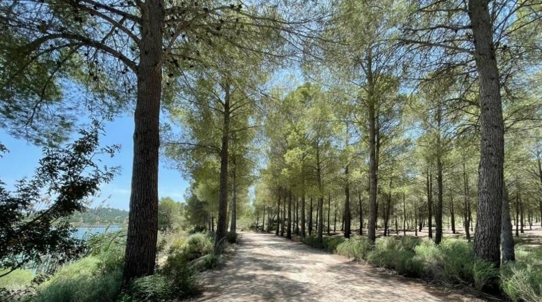 Murcia - Calasparra - 550m2