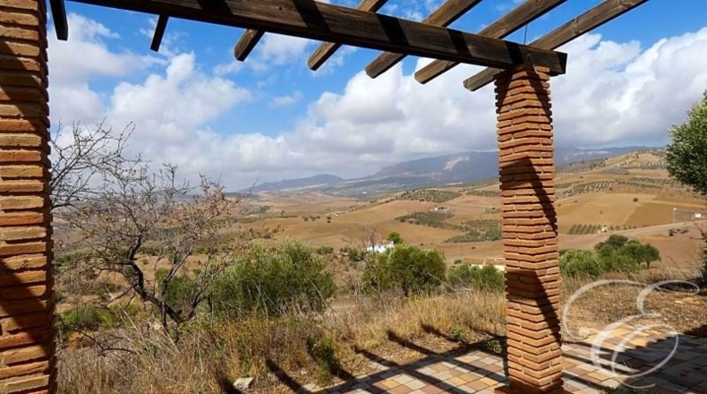 Málaga - Almogía - 8529m2