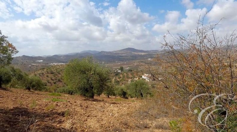 Málaga - Almogía - 8529m2