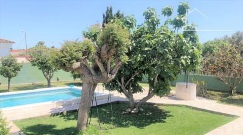 Castellon - Castellón de la Plana - 810m2