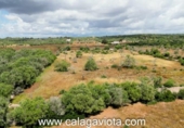 Non-developable land for sale on España, Ses Salines, ref: TR244122 photo