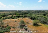 Non-developable land for sale on España, Ses Salines, ref: TR244122 photo