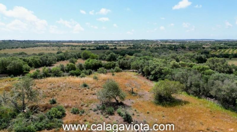 Balearic Islands - Las Salinas - 15319m2