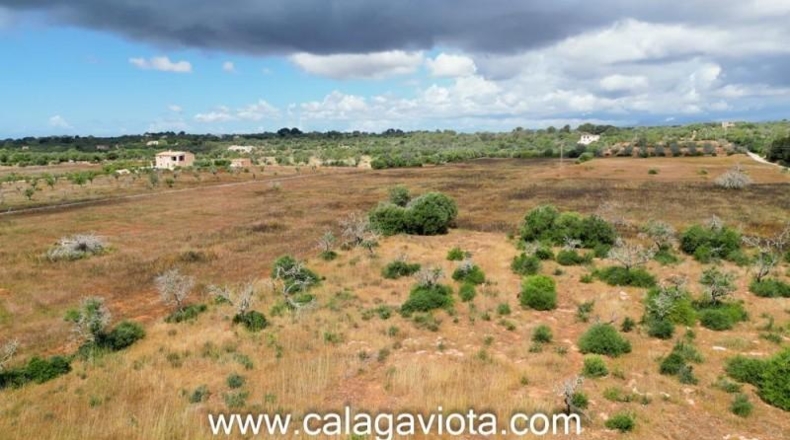 Balearic Islands - Las Salinas - 15319m2