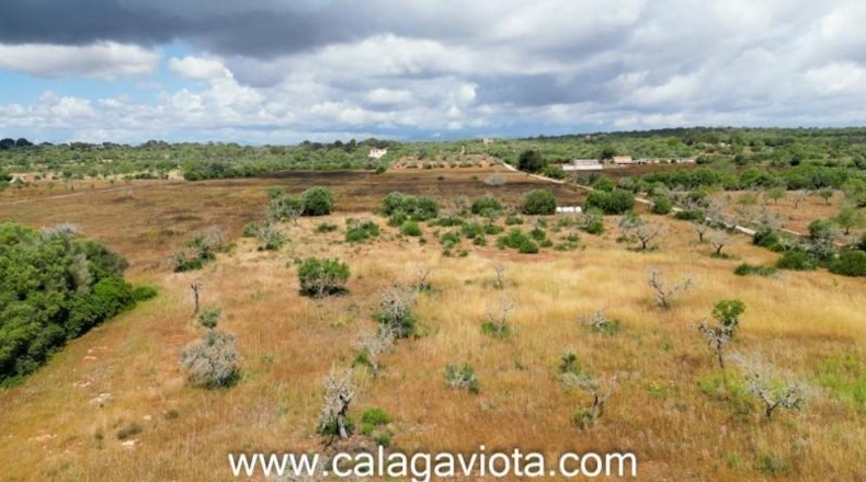 Balearic Islands - Las Salinas - 15319m2