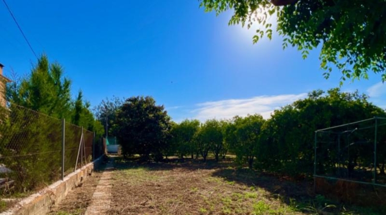 Alicante - Pedreguer - 1250m2