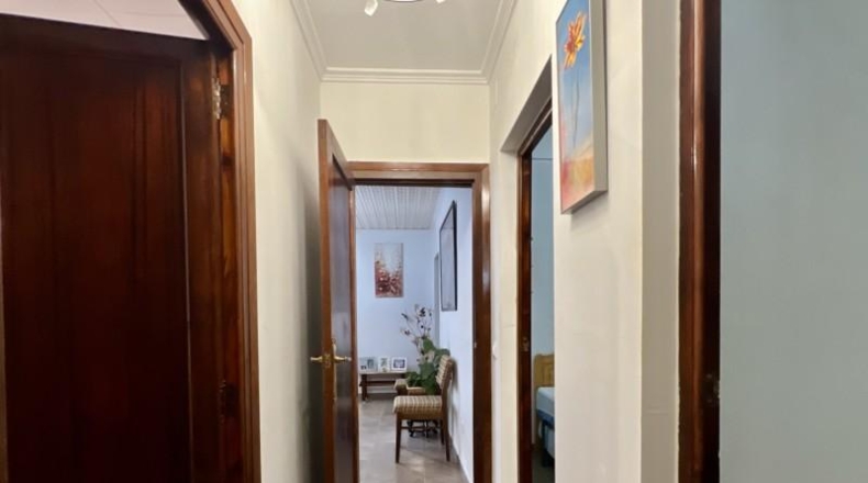 Alicante - Pedreguer - 1250m2