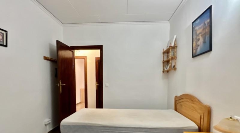 Alicante - Pedreguer - 1250m2