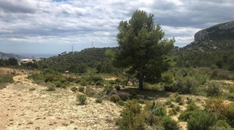 Alicante - Benidorm - 12510m2