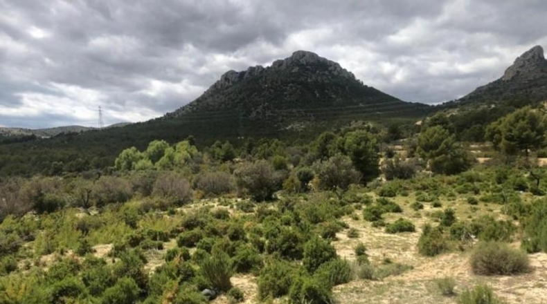 Alicante - Benidorm - 12510m2