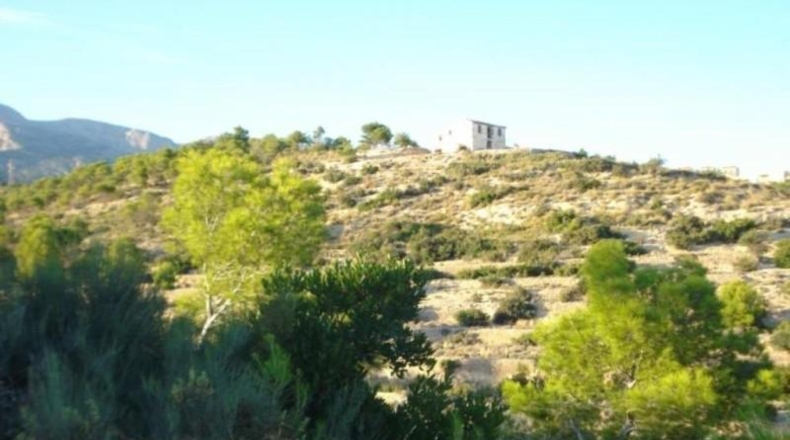 Alicante - Benidorm - 12510m2