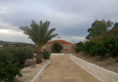 Xalet independent amb terreny en venda a la España, Múrcia, ref.: TR140055 foto