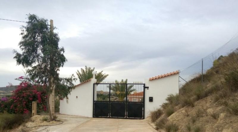 Murcia - Murcia - 5000m2