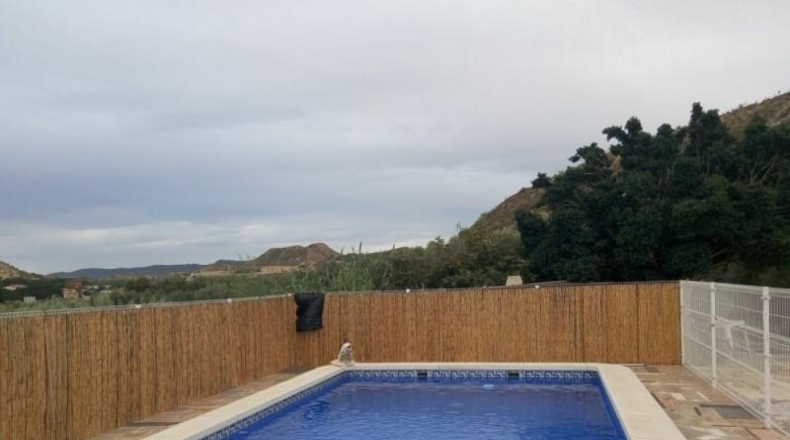 Murcia - Murcia - 5000m2