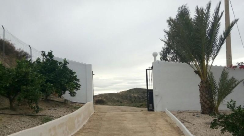 Murcia - Murcia - 5000m2