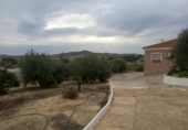 Xalet independent amb terreny en venda a la España, Múrcia, ref.: TR140055 foto